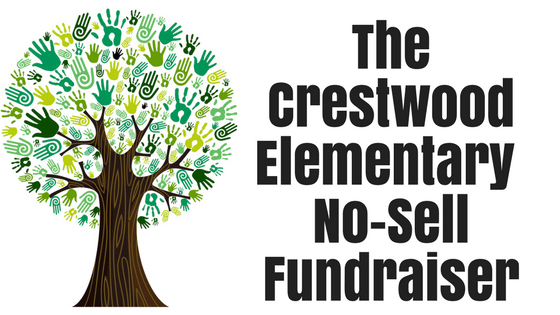 blog title no-sell fundraiser